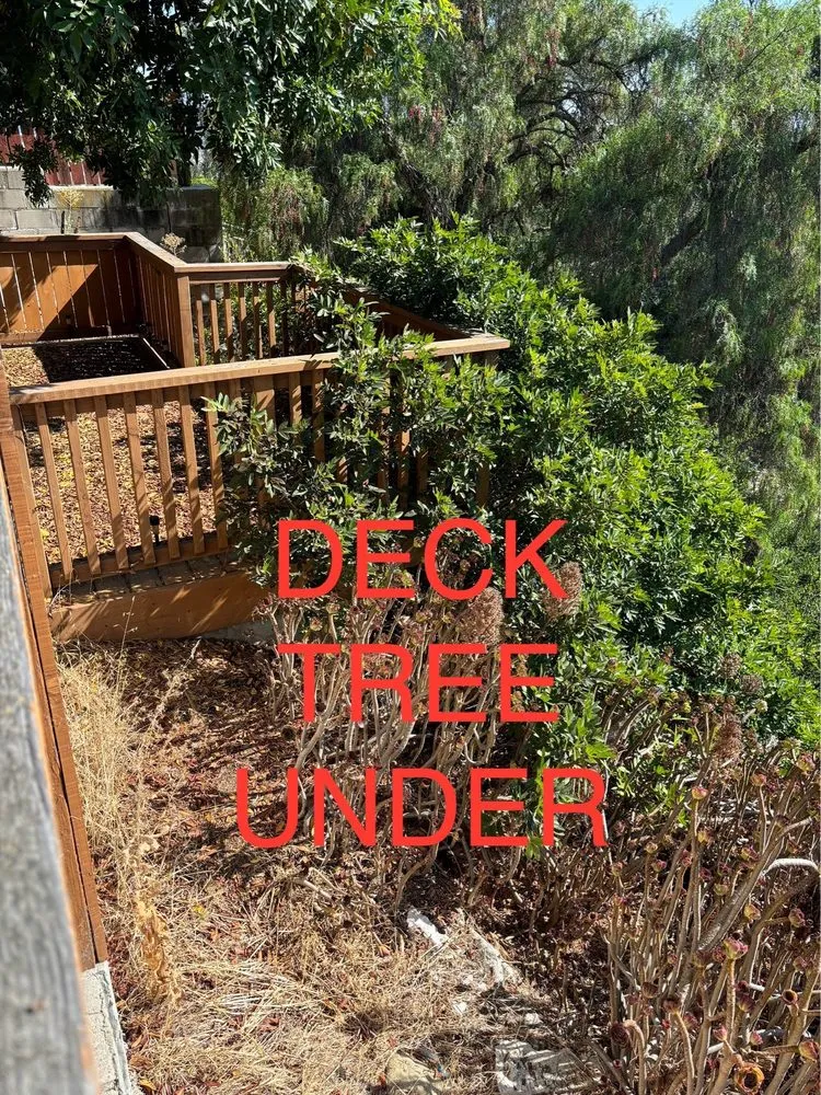 Top-rated residential landscaping experts serving San Diego, CA - Enzo’s Landscaping