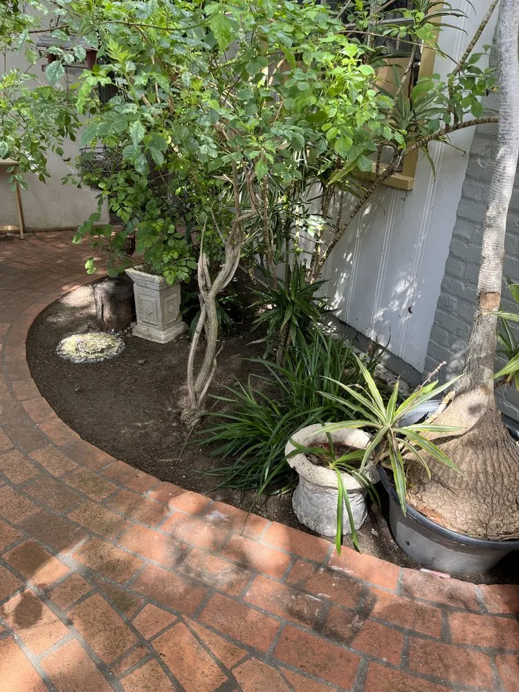 Affordable lawn mowing service near you across San Diego, CA - Enzo’s Landscaping