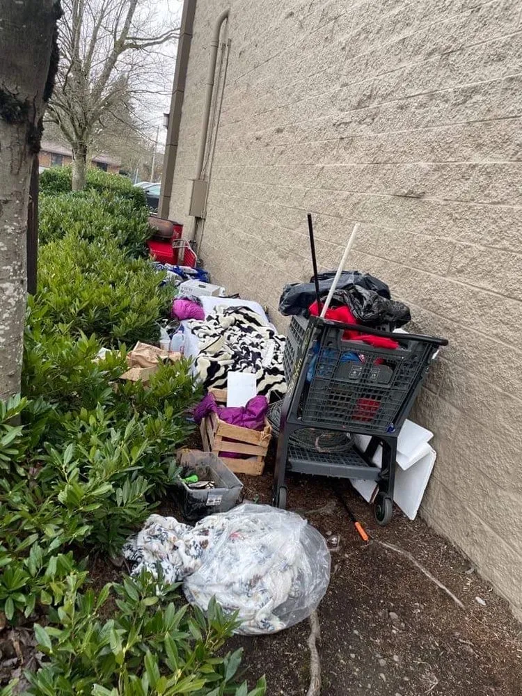 Affordable lawn care service in Salem, OR by E&O Landscape & More