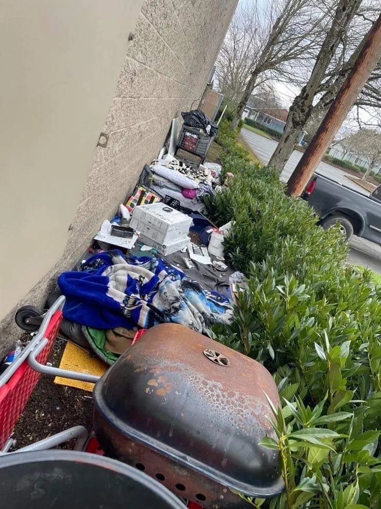 Expert yard cleanup service for beautiful yards in Salem, OR by E&O Landscape & More