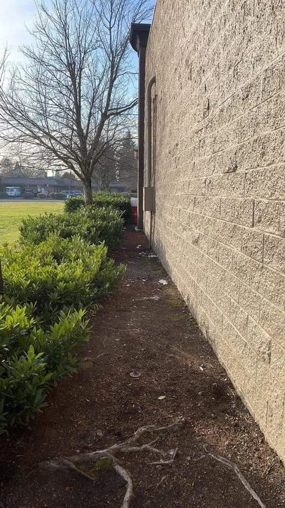 Affordable yard maintenance near you in Salem, OR by E&O Landscape & More