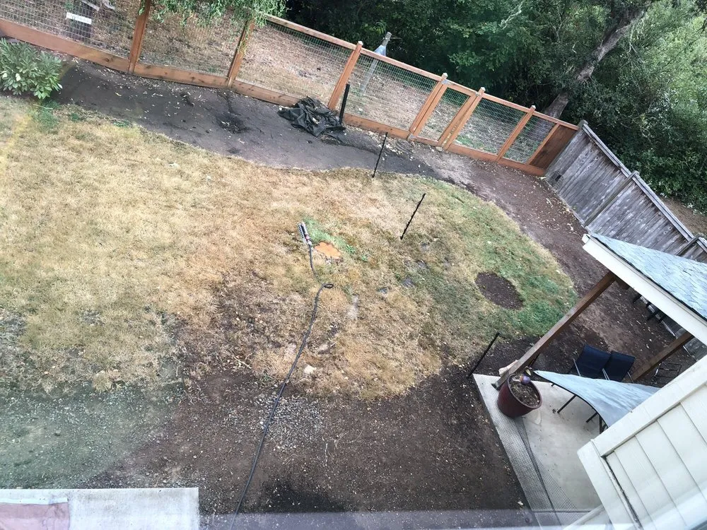 Top-rated yard maintenance for beautiful yards across Junction City, OR - EO Landscaping