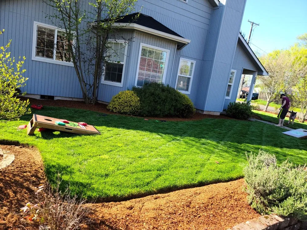 Professional yard cleanup service experts serving Junction City, OR - EO Landscaping