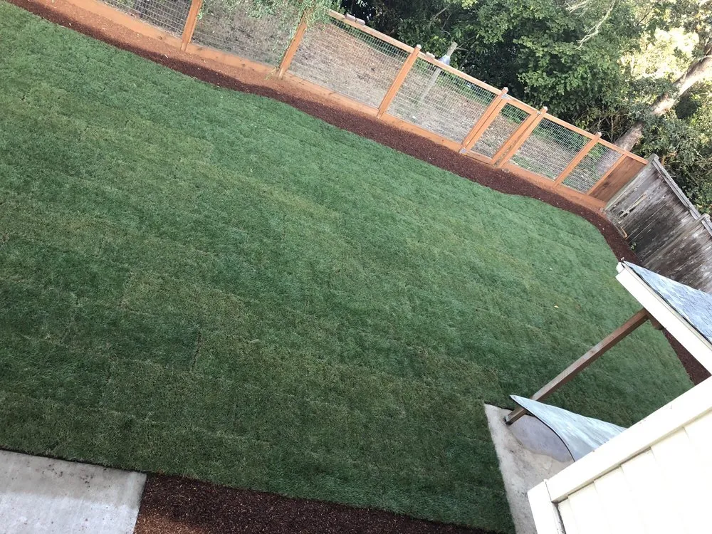 Reliable landscaping services in Junction City, OR - EO Landscaping