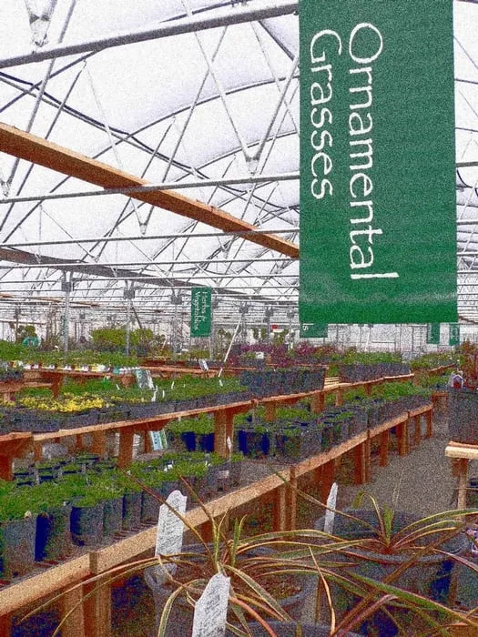 Professional yard cleanup service in Island City, OR by EONL