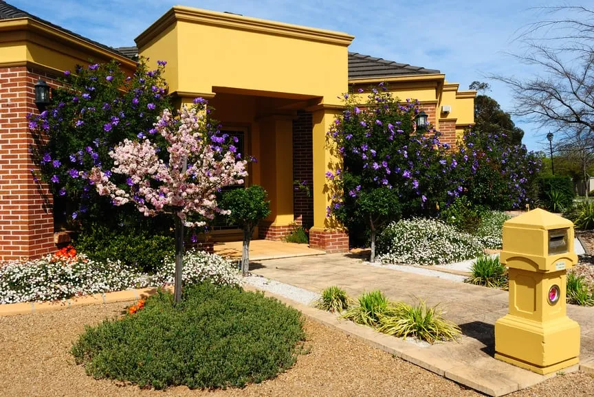 Professional yard cleanup service in El Paso, TX by EP Landscape Contractors