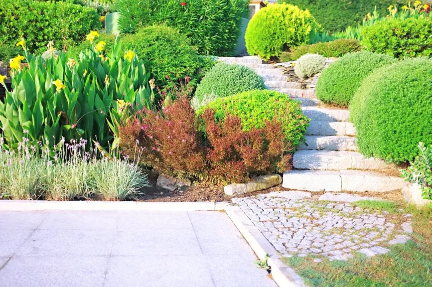 Local residential landscaping experts serving El Paso, TX - EP Landscape Contractors