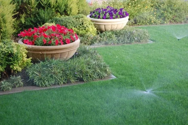 Expert lawn care service in El Paso, TX by EP Landscape Contractors