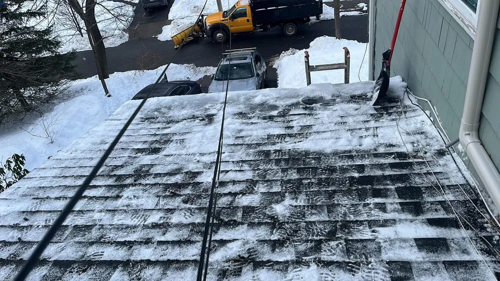 Trusted yard maintenance in Boston, MA by EP Landscape Demo & Services