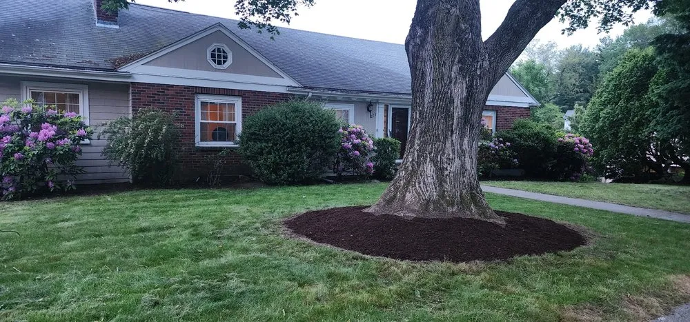 Top-rated yard cleanup service for year-round maintenance in Boston, MA by EP Landscape Demo & Services
