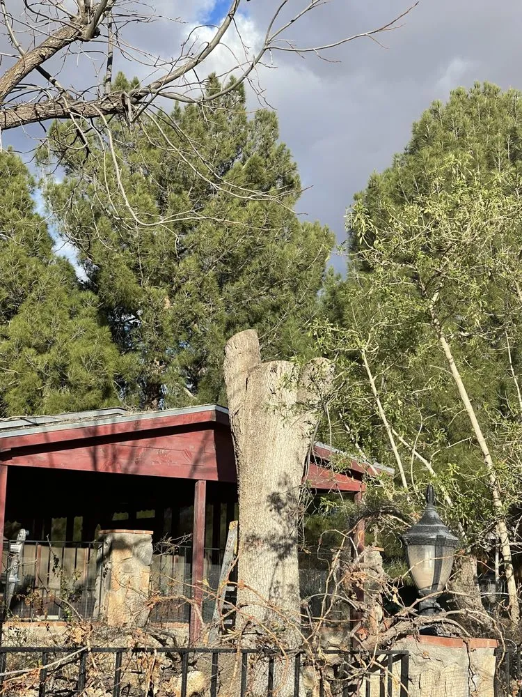 Reliable yard cleanup service in El Paso, TX by EP Landscaping