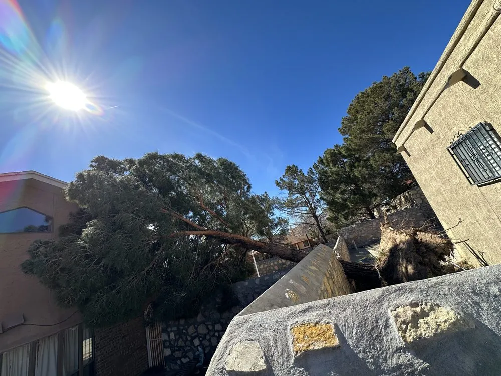 Affordable outdoor landscaping in El Paso, TX by EP Landscaping