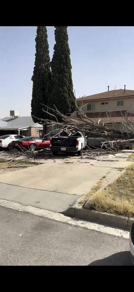 Trusted residential landscaping experts serving El Paso, TX - EP Landscaping