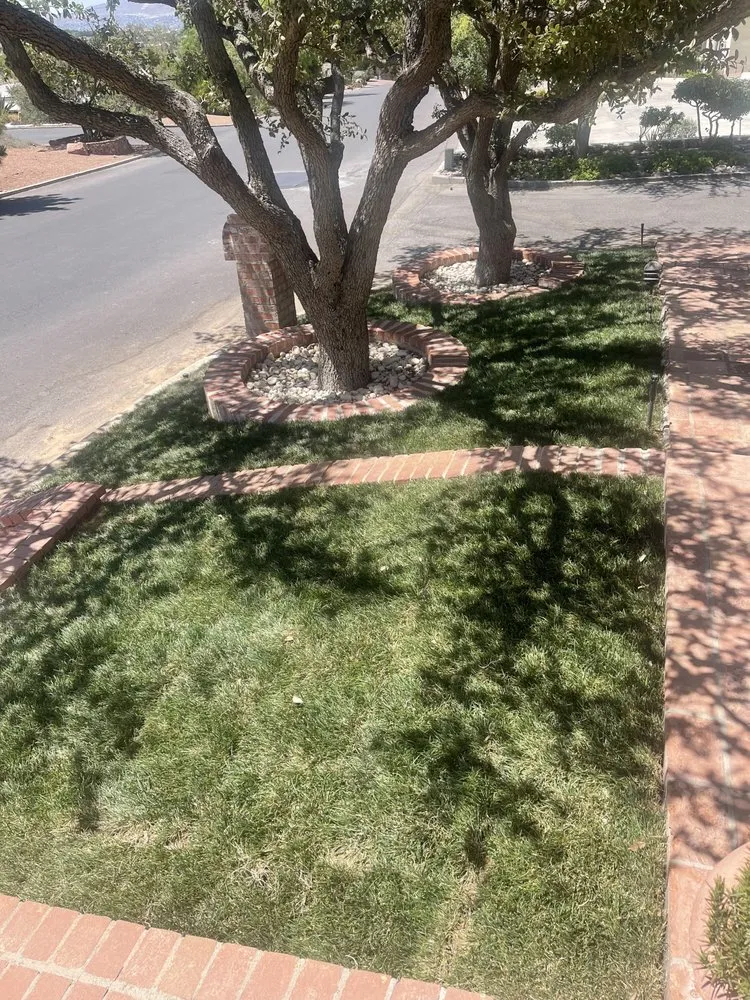 Expert lawn mowing service for residential properties across El Paso, TX - EP Landscaping