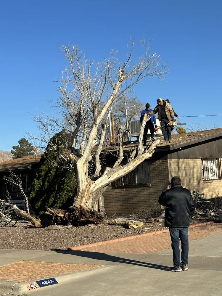 Professional lawn care service in El Paso, TX - EP Landscaping