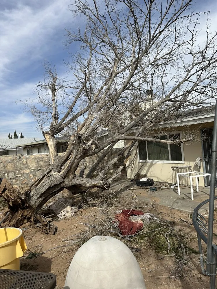 Custom garden landscaping for outdoor upgrades across El Paso, TX - EP Landscaping