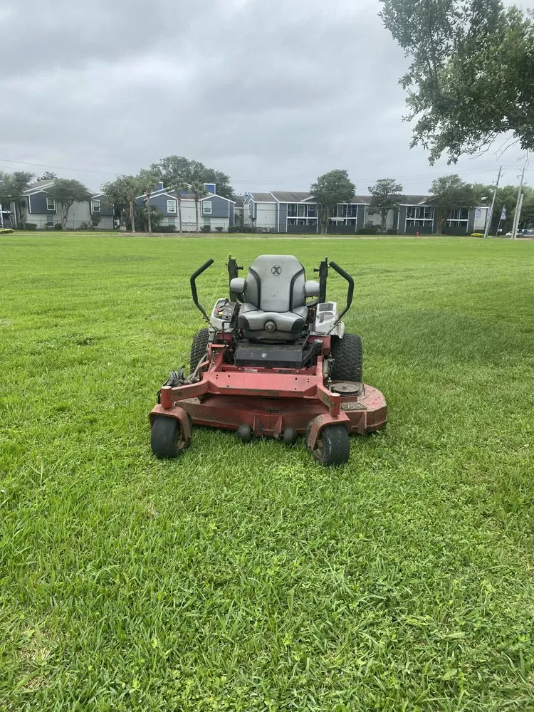 Reliable yard cleanup service in Houston, TX - EP Landscaping