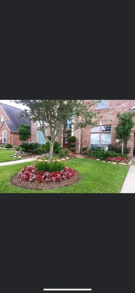 Trusted lawn care service experts serving Houston, TX - EP Landscaping