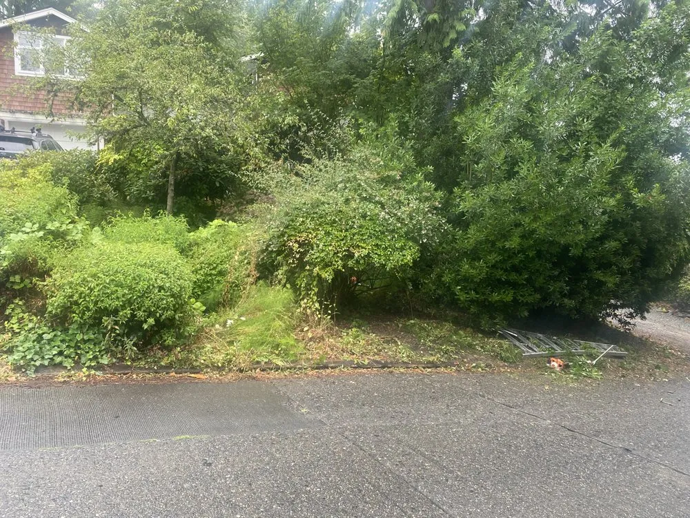 Top-rated landscaping services for outdoor upgrades in Seattle, WA by EP Landscaping