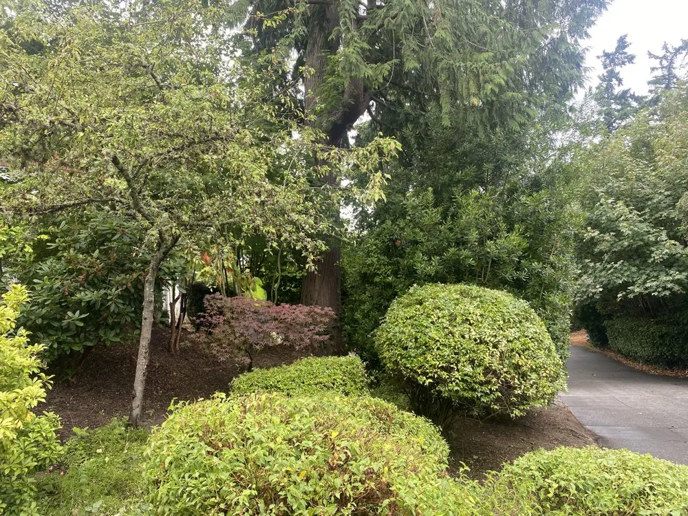 Local outdoor landscaping in Seattle, WA - EP Landscaping