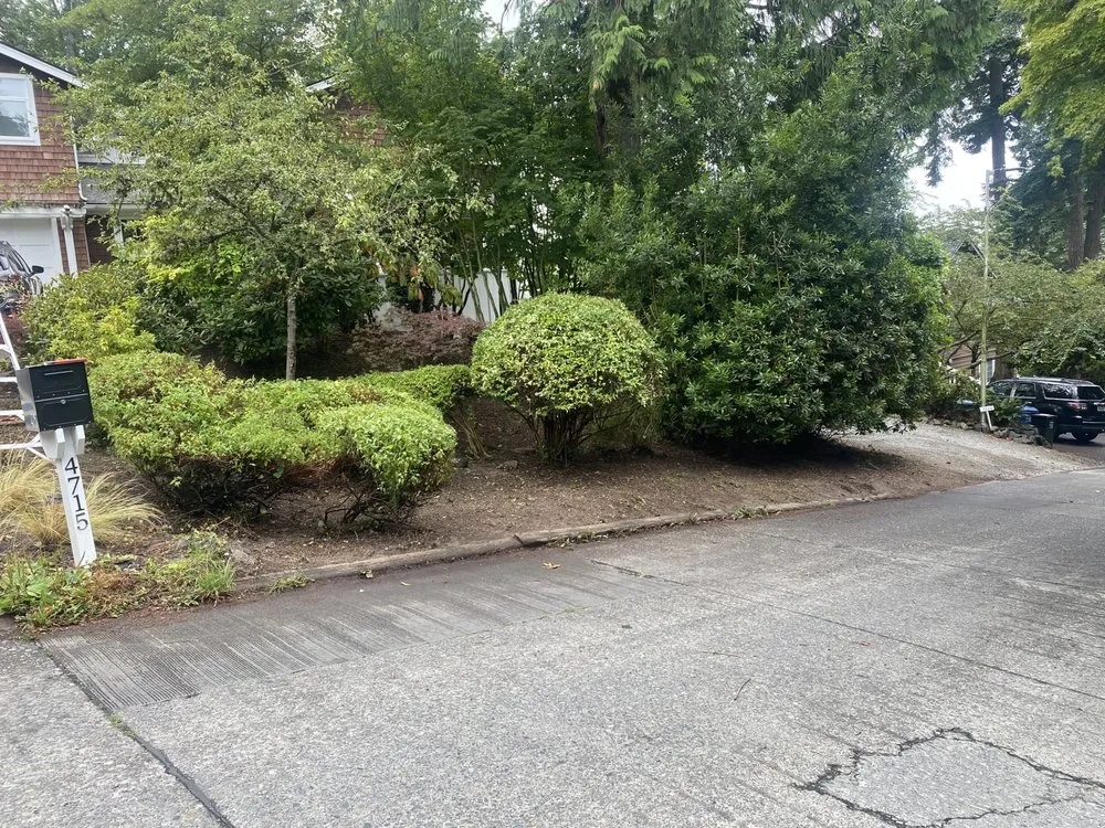 Affordable yard maintenance in Seattle, WA by EP Landscaping