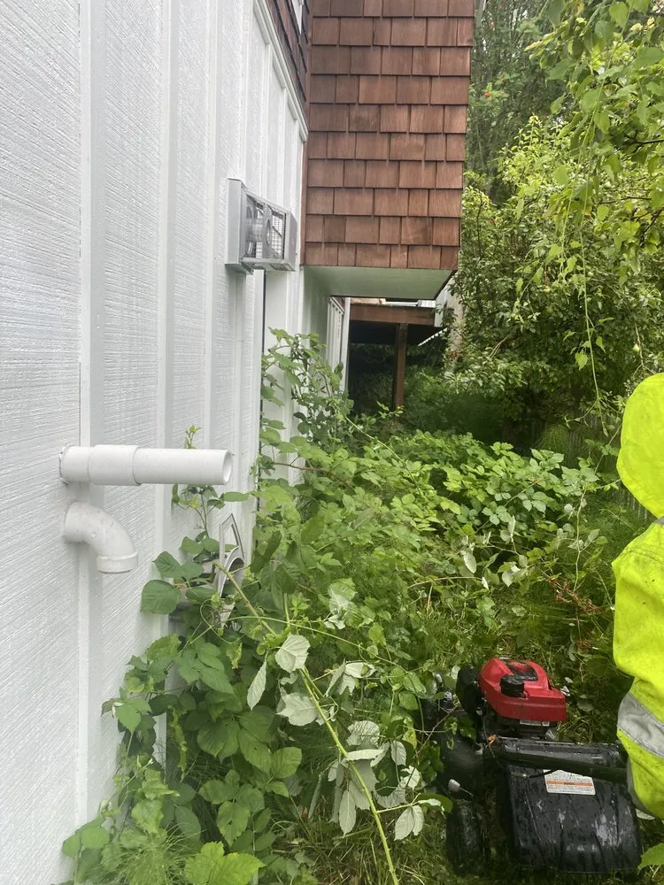 Reliable landscape design in Seattle, WA - EP Landscaping