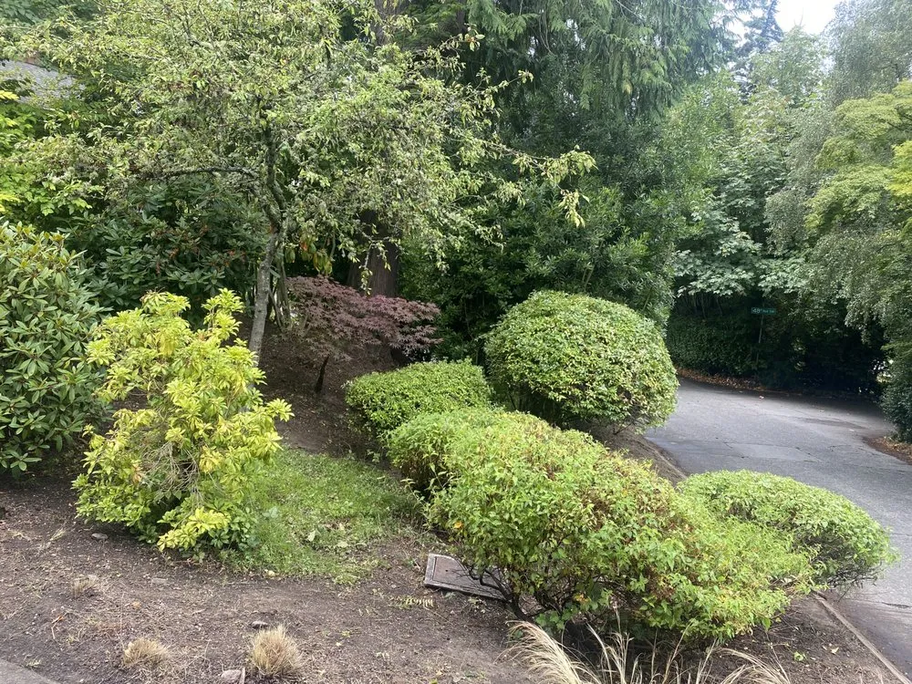 Top-rated lawn care service for outdoor upgrades across Seattle, WA - EP Landscaping