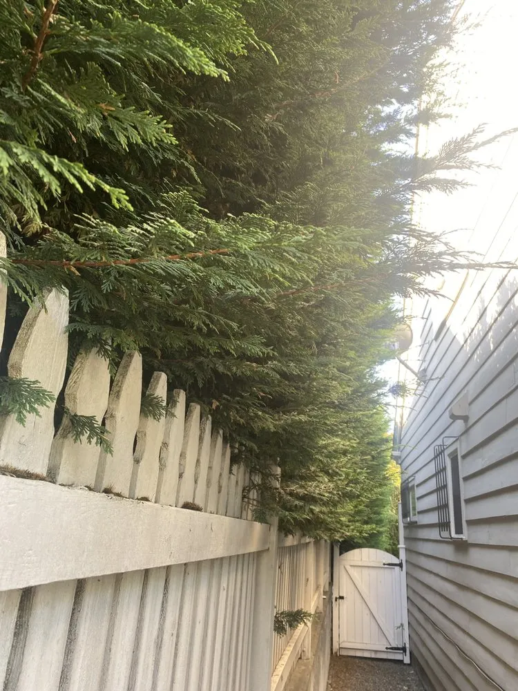 Top-rated garden landscaping for residential properties across Seattle, WA - EP Landscaping