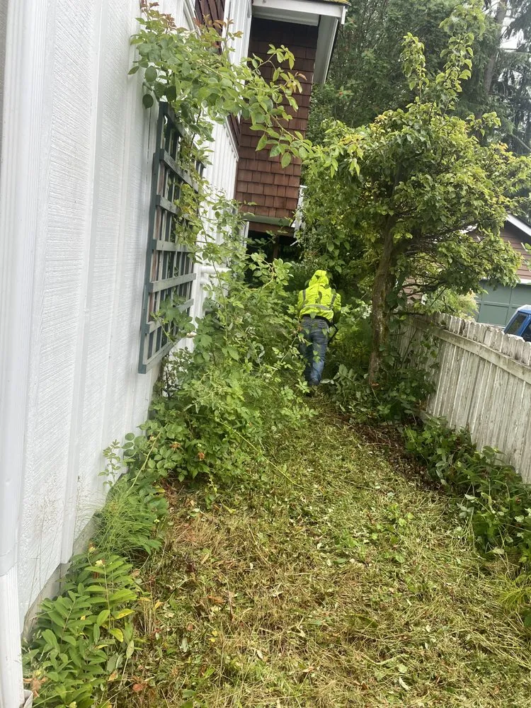 Trusted landscape design in Seattle, WA - EP Landscaping