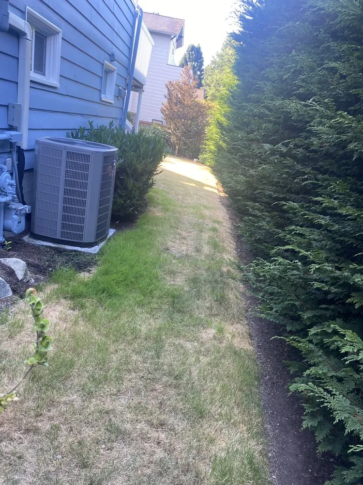 Local landscaping services in Seattle, WA by EP Landscaping