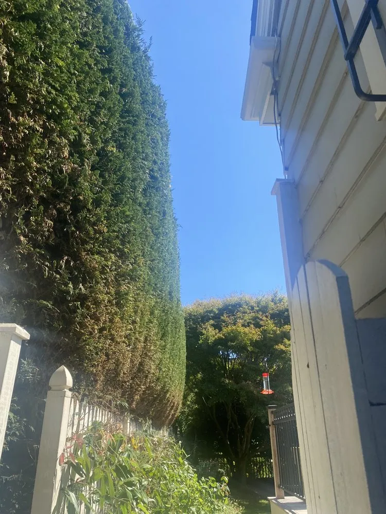 Top-rated lawn care service for residential properties across Seattle, WA - EP Landscaping