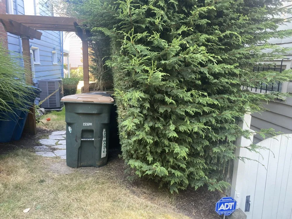 Reliable lawn care service experts serving Seattle, WA - EP Landscaping