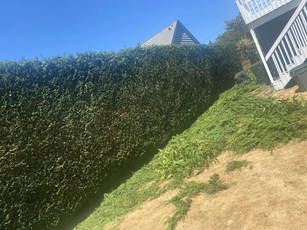 Expert outdoor landscaping for year-round maintenance across Seattle, WA - EP Landscaping