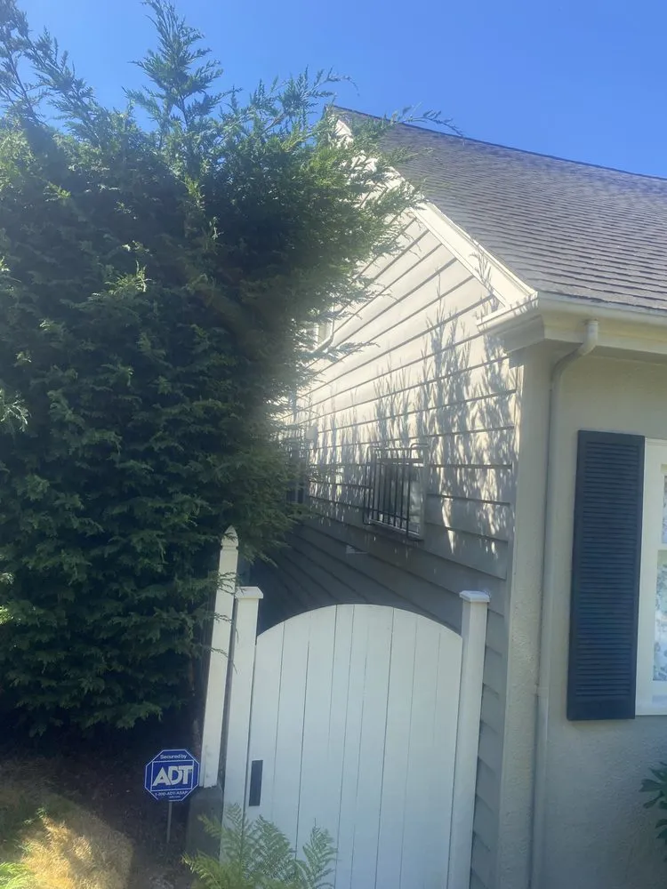 Custom residential landscaping in Seattle, WA by EP Landscaping