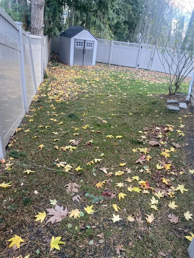 Local lawn care service experts serving Seattle, WA - EP Landscaping