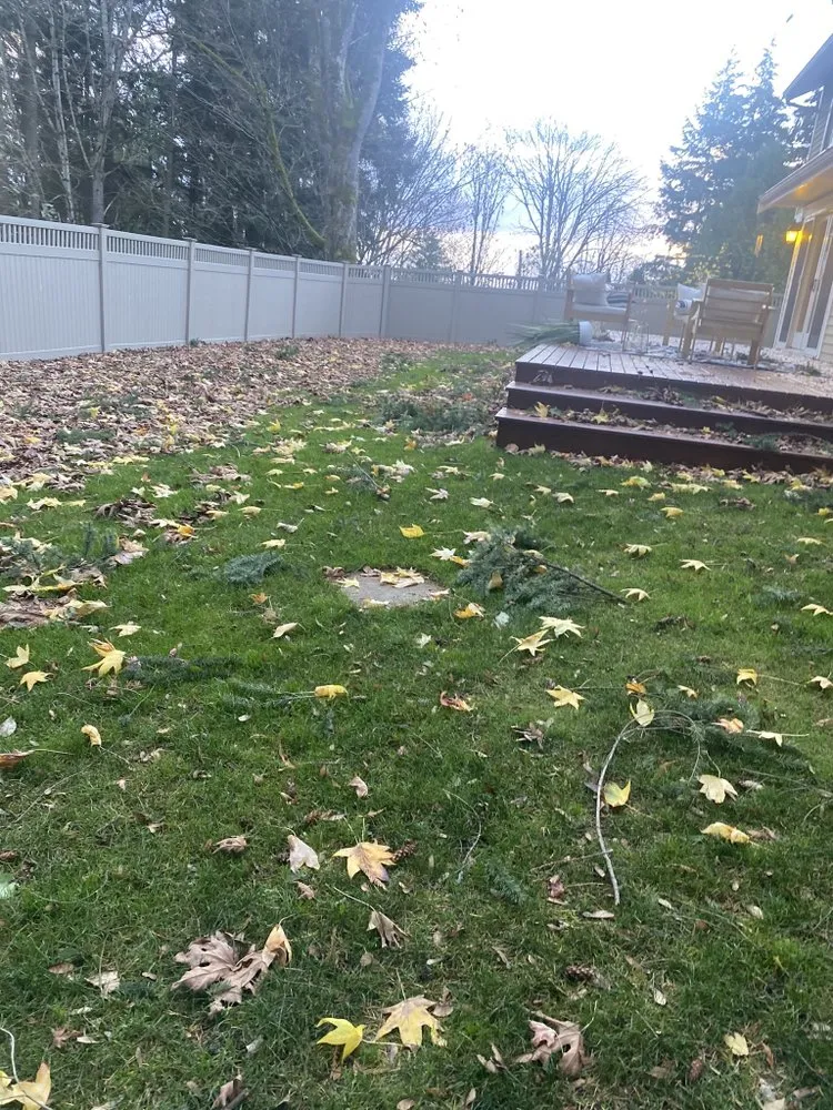 Affordable residential landscaping in Seattle, WA - EP Landscaping