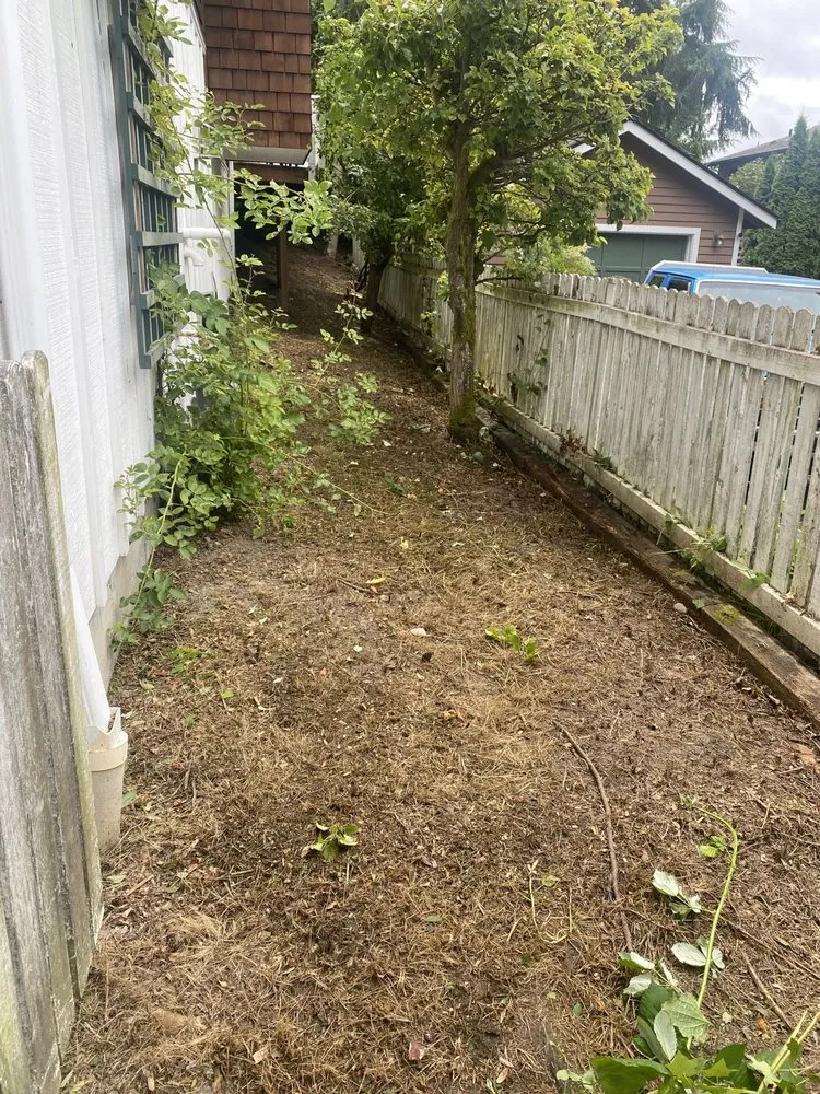 Top-rated landscaping services for outdoor upgrades in Seattle, WA by EP Landscaping