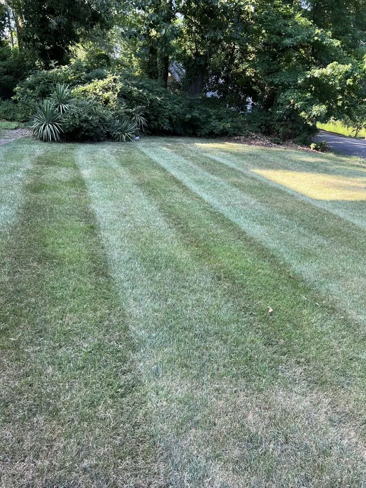 Expert yard cleanup service for year-round maintenance in Benton, AR by E&P Lawn and Landscaping
