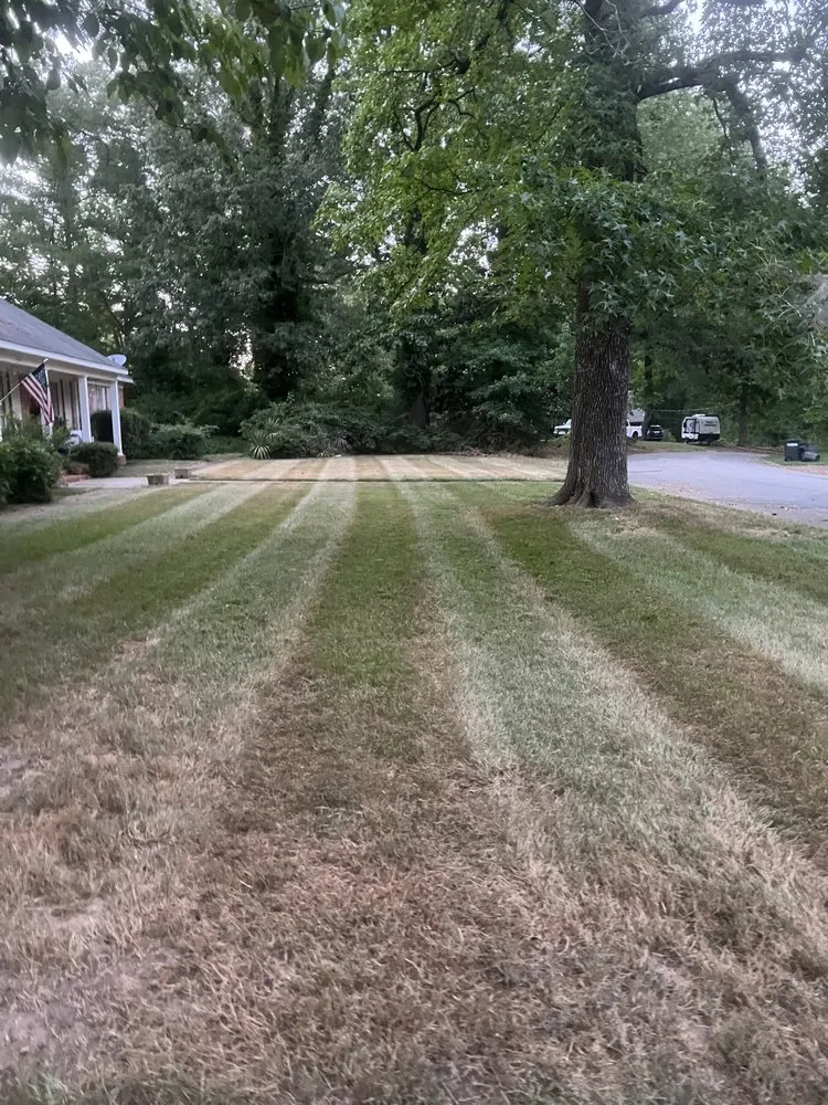 Custom landscape installation for outdoor upgrades in Benton, AR by E&P Lawn and Landscaping