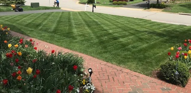 Professional garden landscaping in Alexandria, VA by EP Mowing and Landscaping