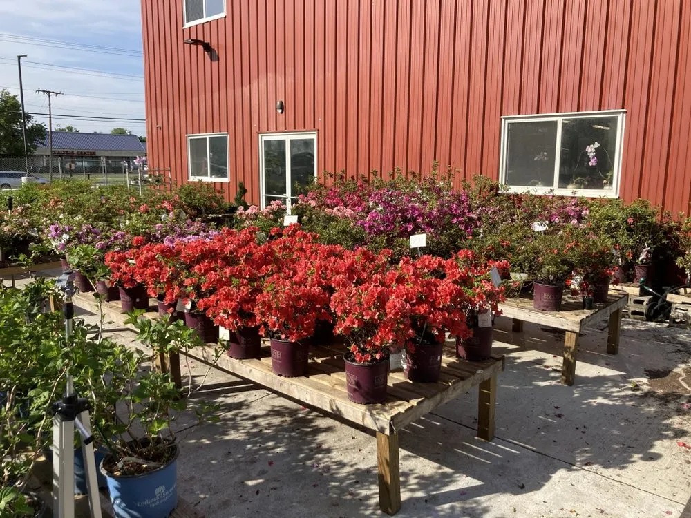 Trusted residential landscaping experts serving Alexandria, VA - EP Mowing and Landscaping