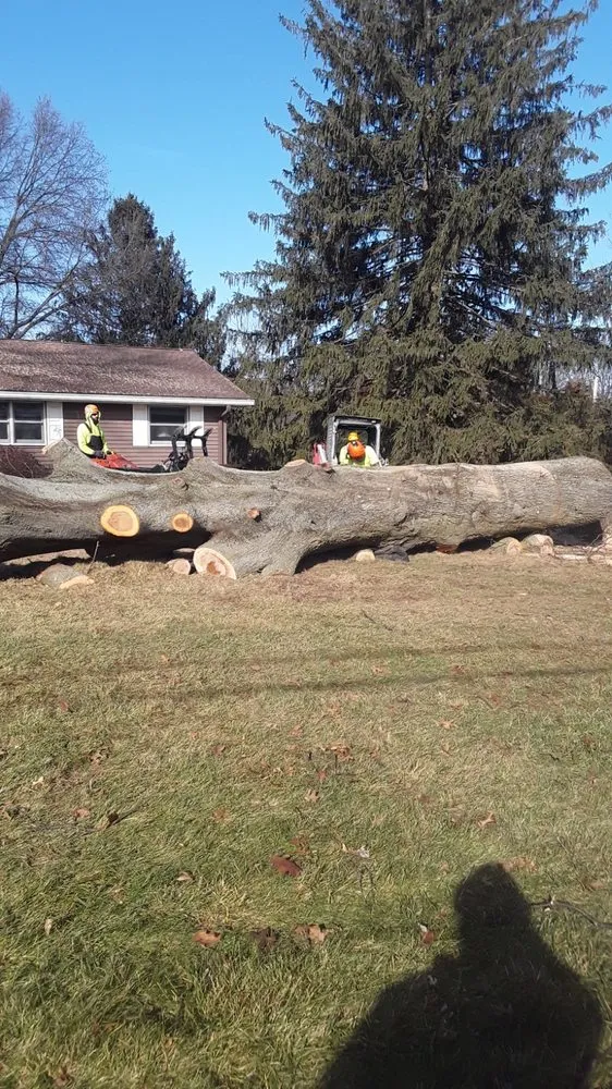 Expert lawn care service near you in Saint Charles, MO by EPC Eric Pettit Contracting