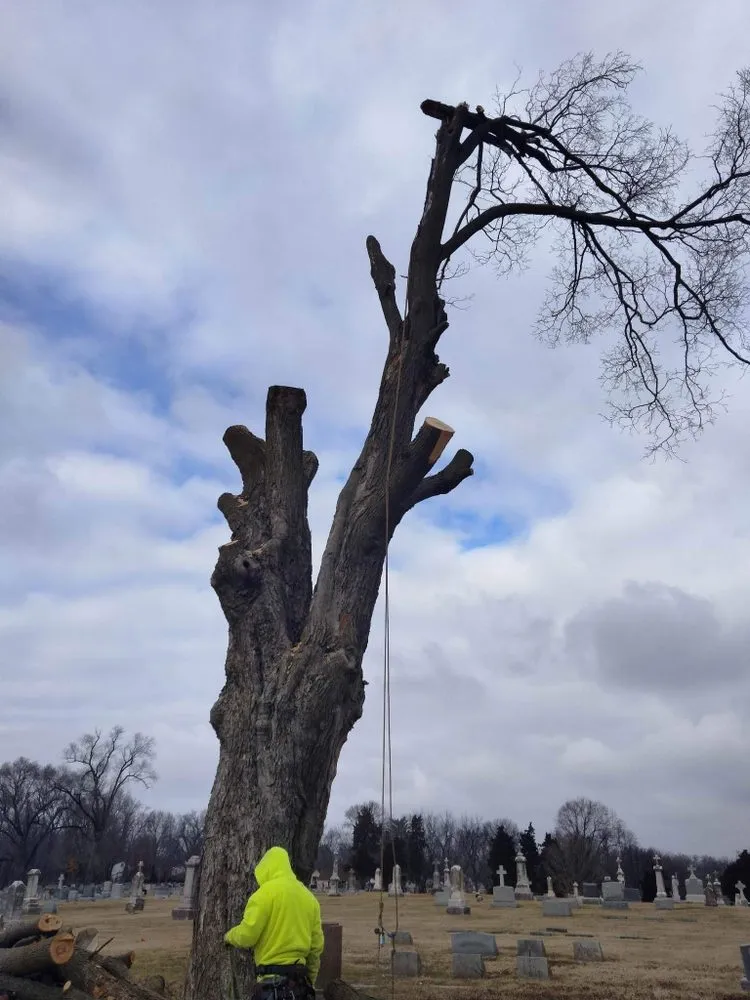 Local lawn care service in Saint Charles, MO - EPC Eric Pettit Contracting