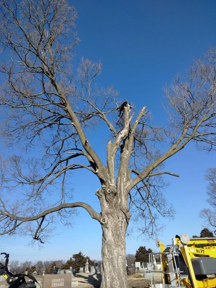 Expert yard maintenance experts serving Saint Charles, MO - EPC Eric Pettit Contracting