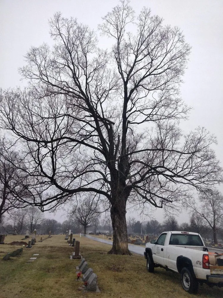 Local lawn care service in Saint Charles, MO - EPC Eric Pettit Contracting