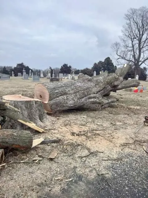 Reliable yard maintenance near you across Saint Charles, MO - EPC Eric Pettit Contracting