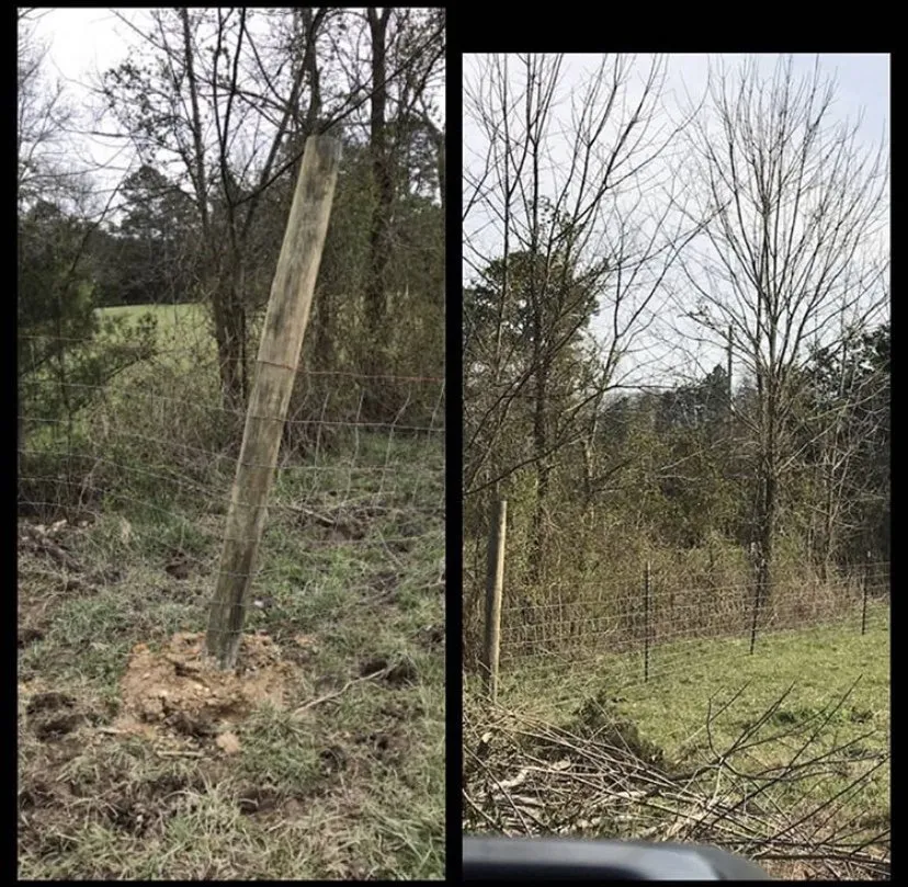 Local yard cleanup service experts serving Rossville, GA - EPC Landscaping