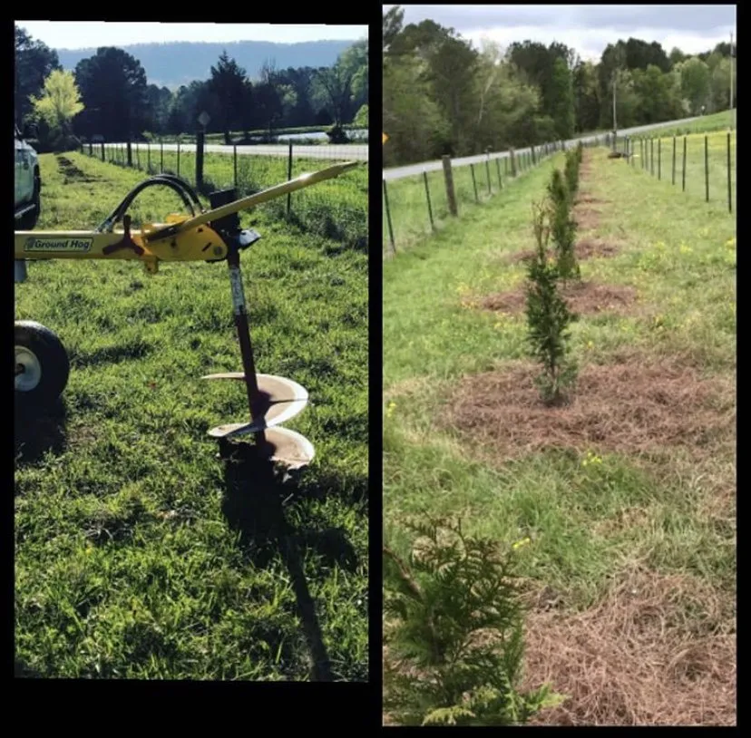 Local yard cleanup service in Rossville, GA - EPC Landscaping