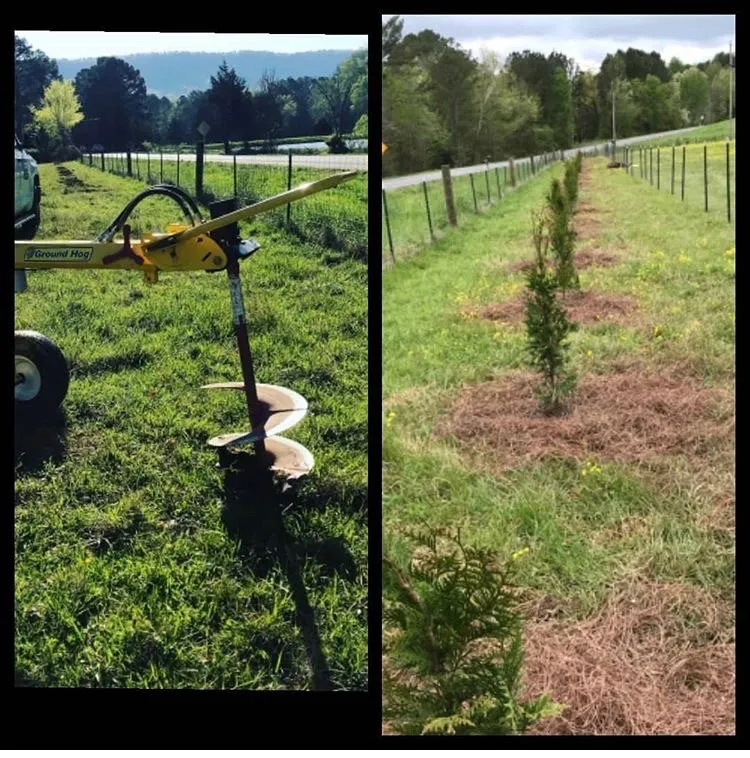 Top-rated lawn mowing service experts serving Rossville, GA - EPC Landscaping