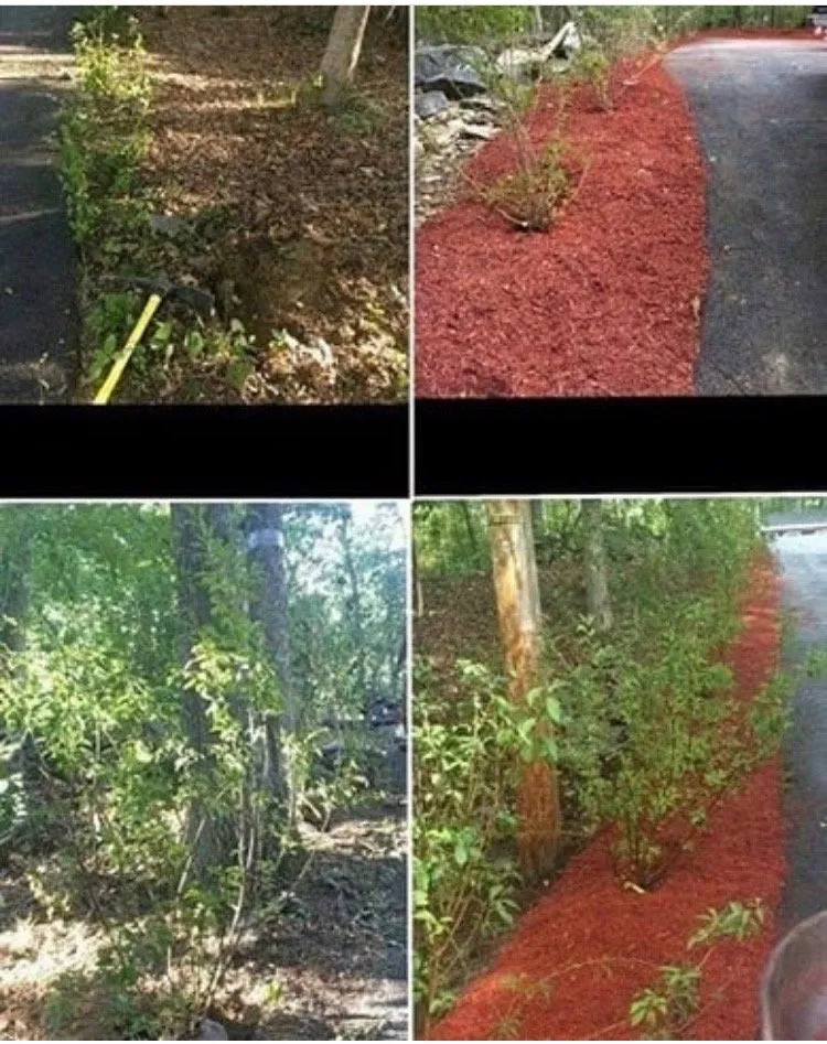Expert landscaping services experts serving Rossville, GA - EPC Landscaping